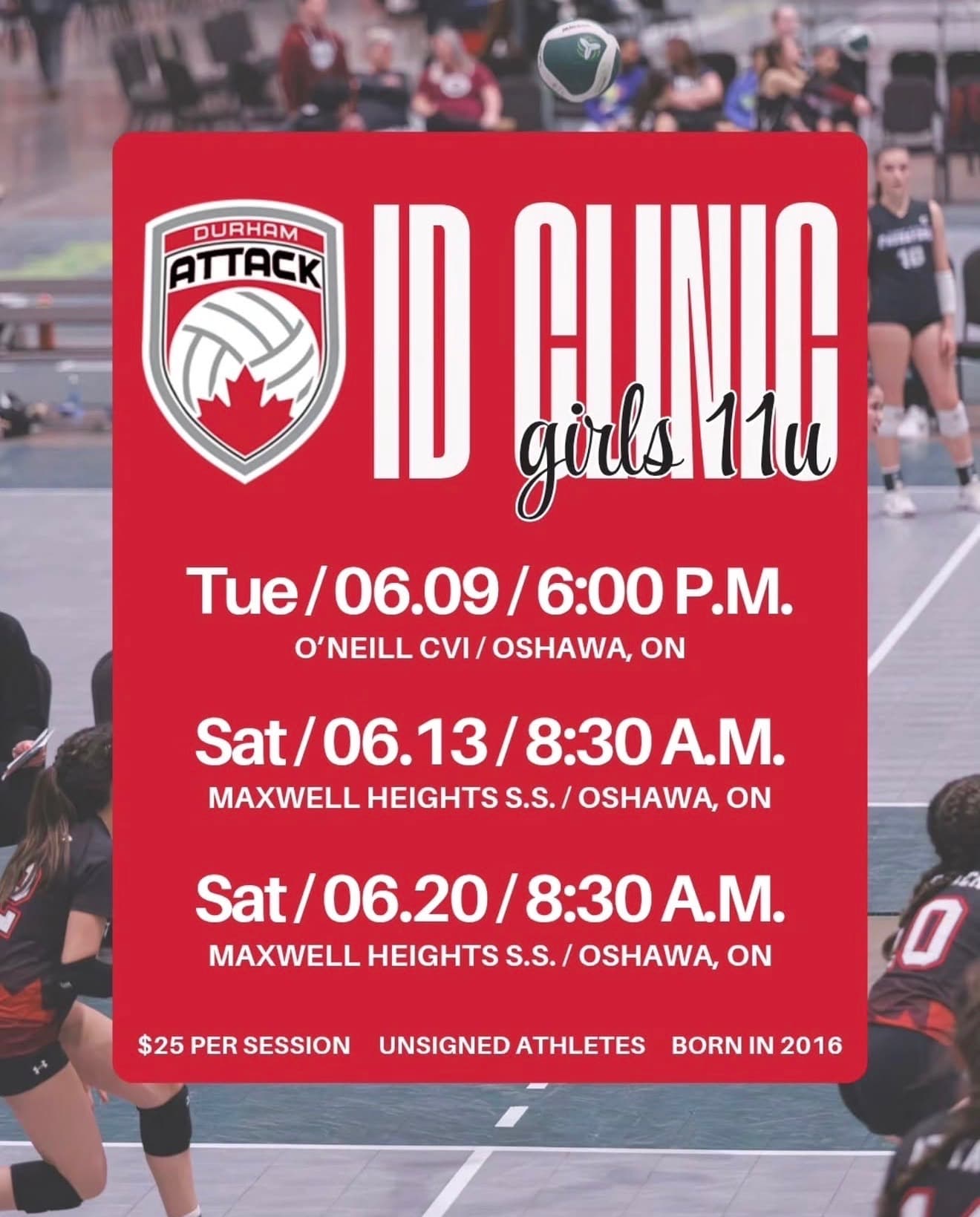 Girls 11U ID Clinic - Session 2 flyer