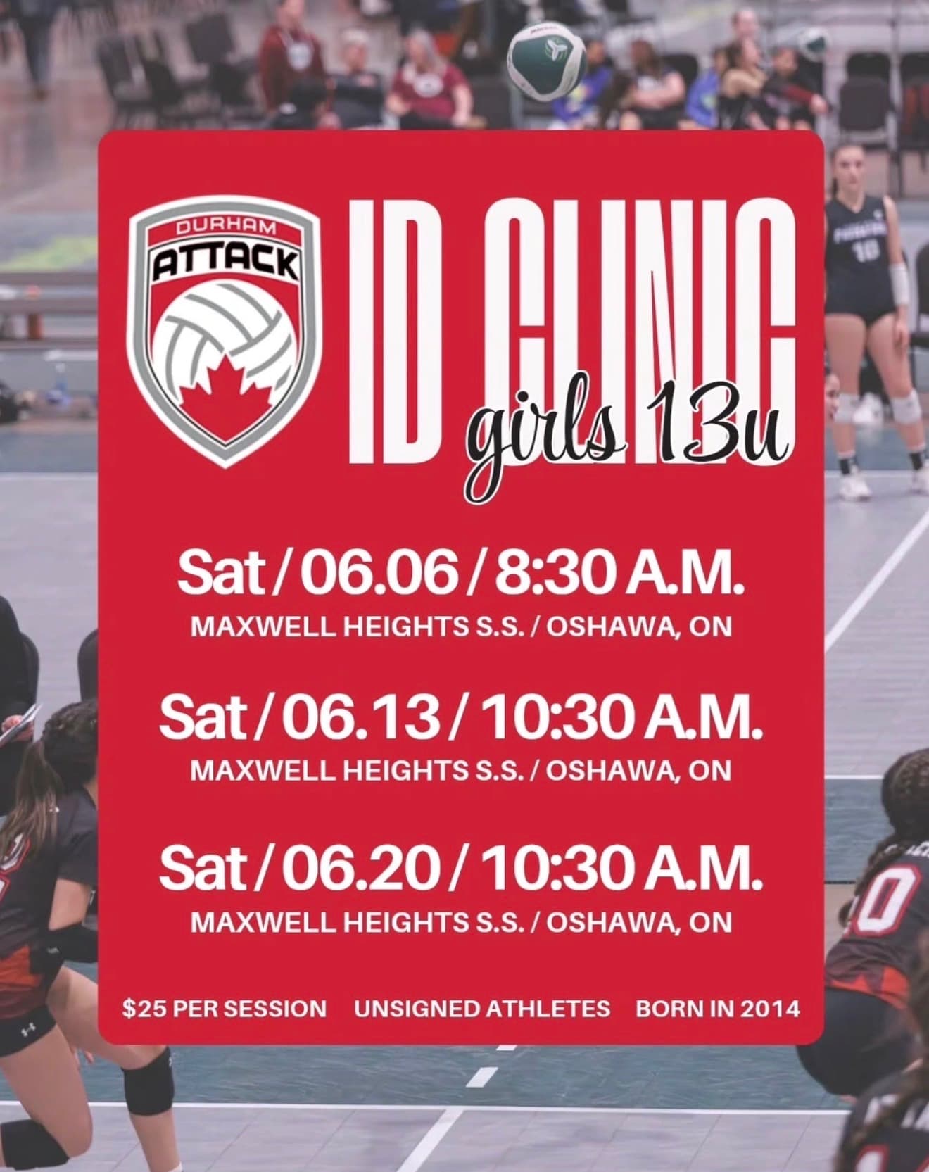 Girls 13U ID Clinic - Session 3 flyer