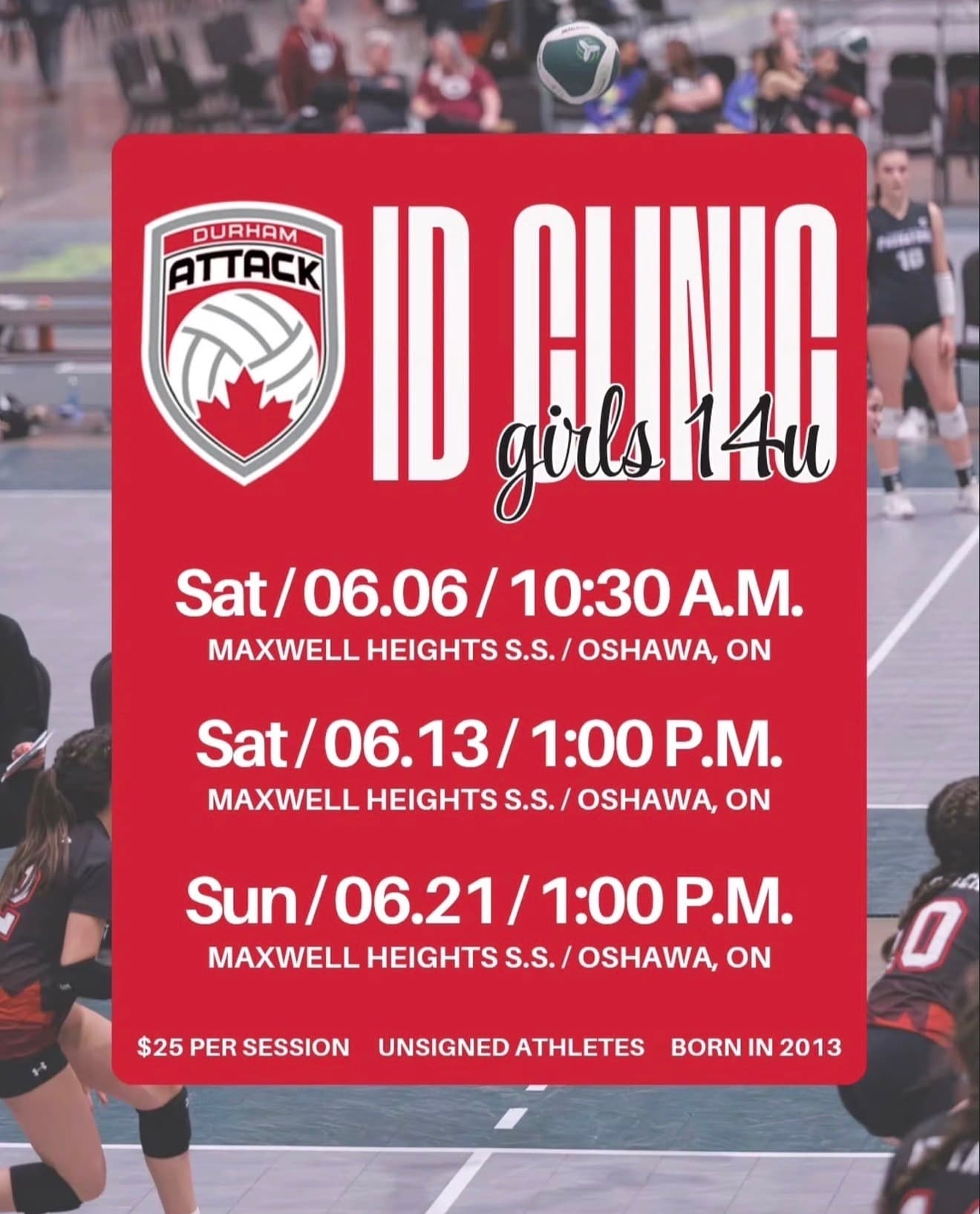 Girls 14U ID Clinic - Session 2 flyer
