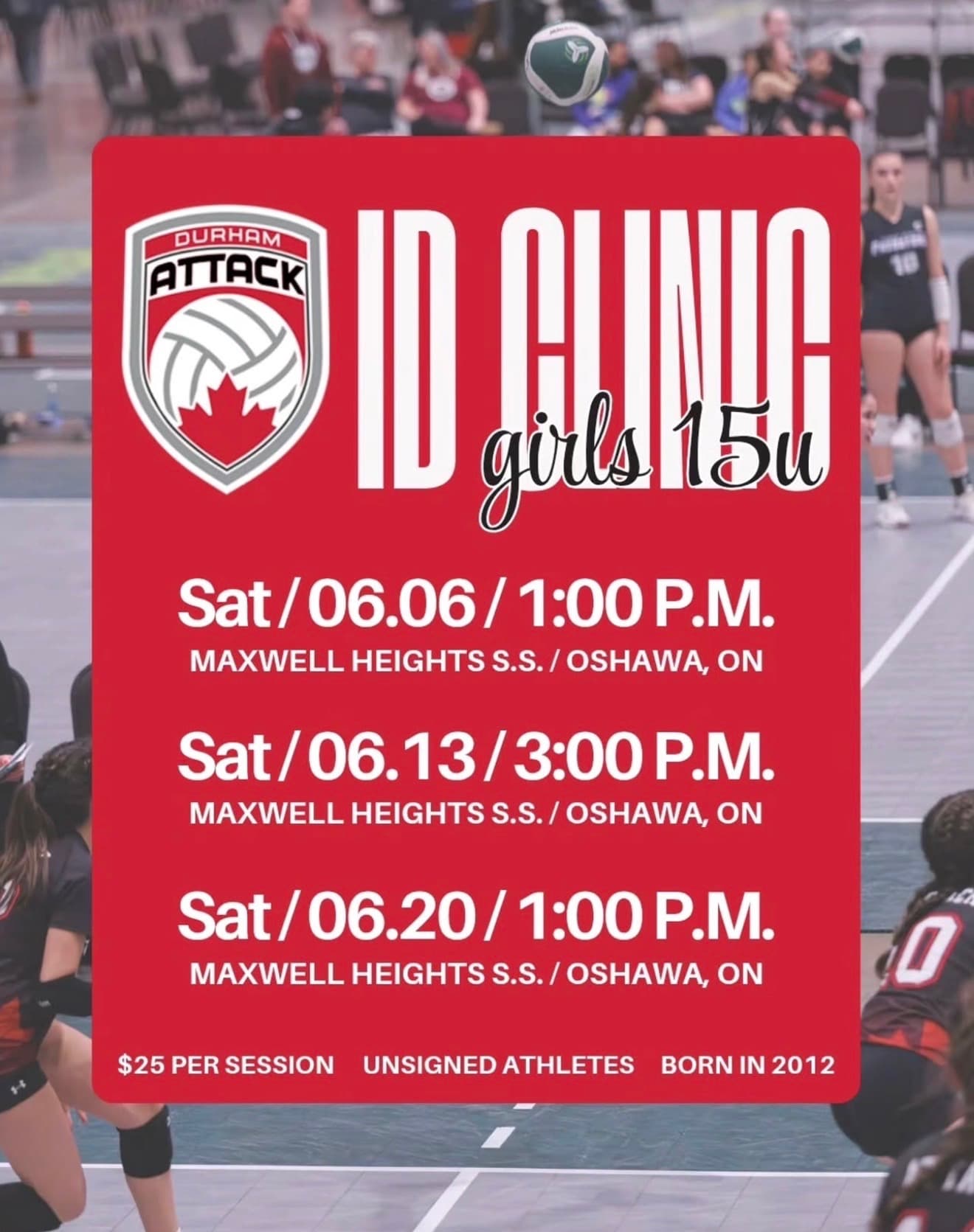 Girls 15U ID Clinic - Session 3 flyer