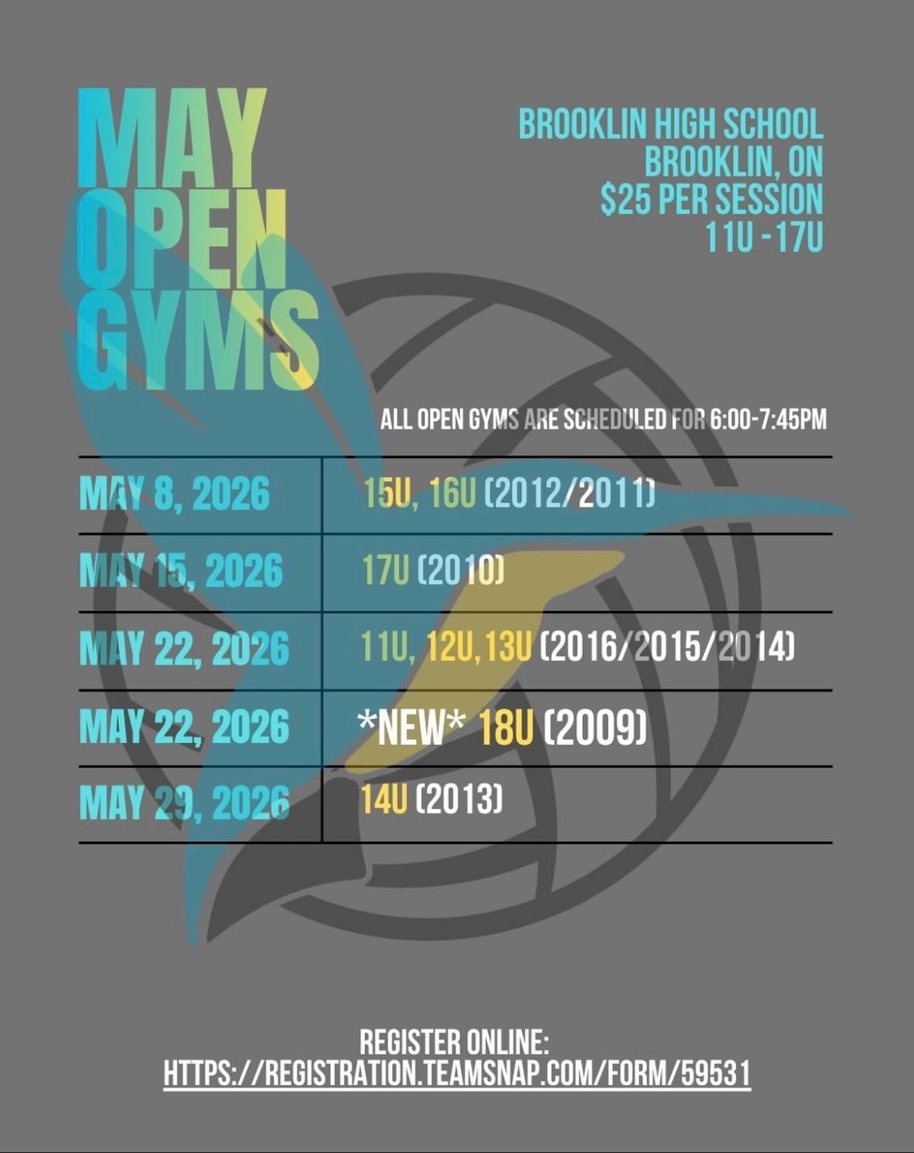 May Open Gym - 14U Girls flyer
