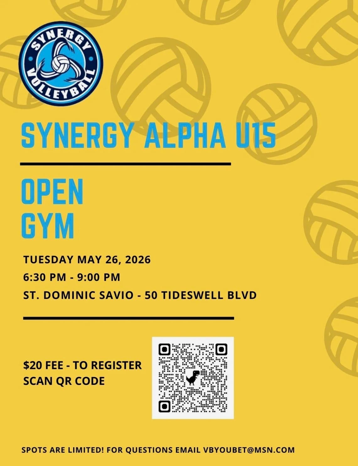 Synergy Alpha U15 Open Gym flyer