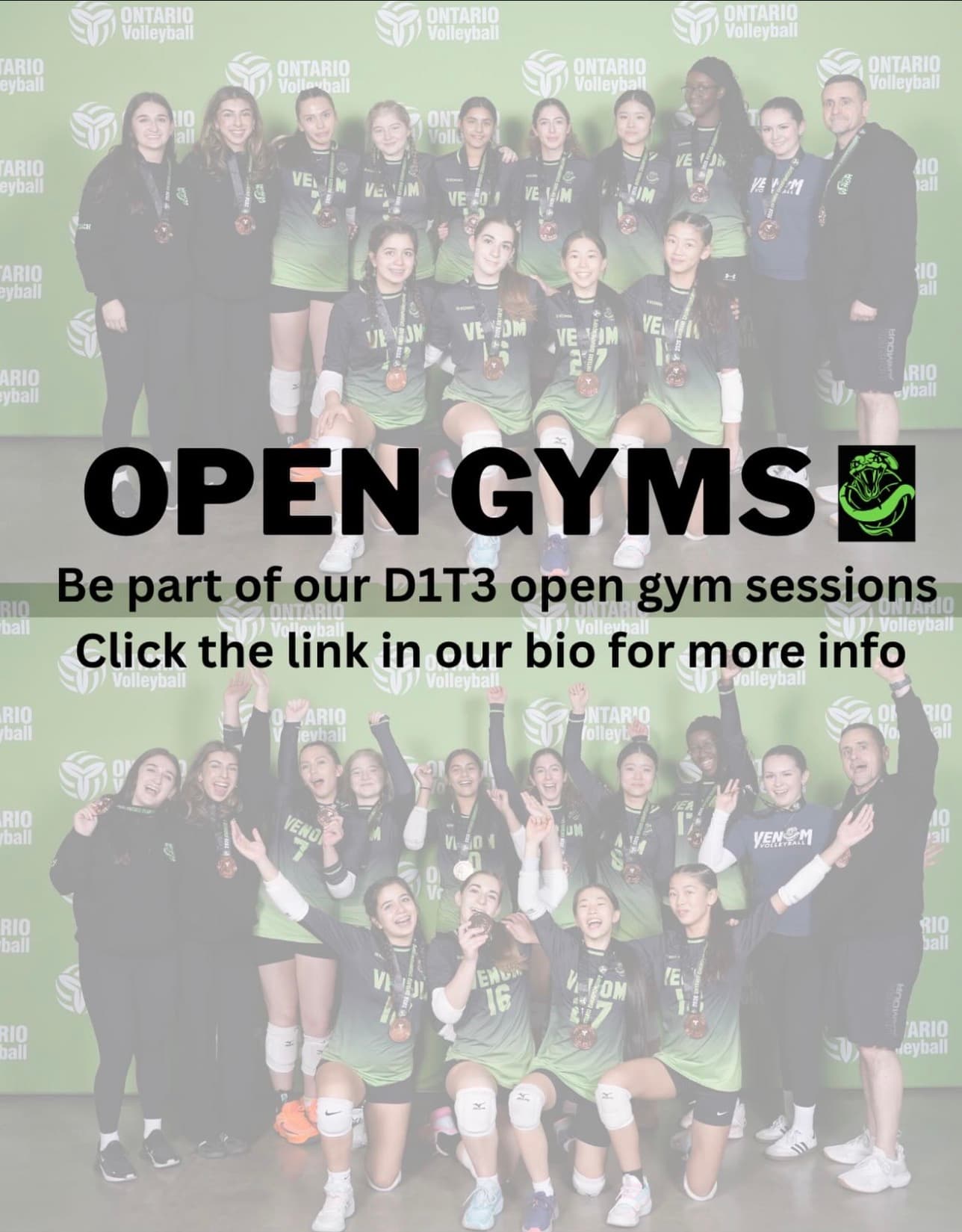 14U Girls Open Gym (Elite) — date approx. flyer
