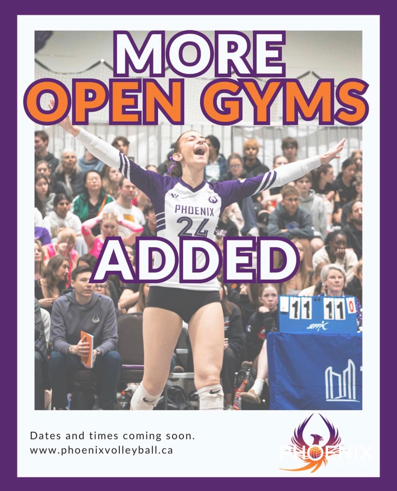 Open Gyms / Clinics (More Dates Added) flyer