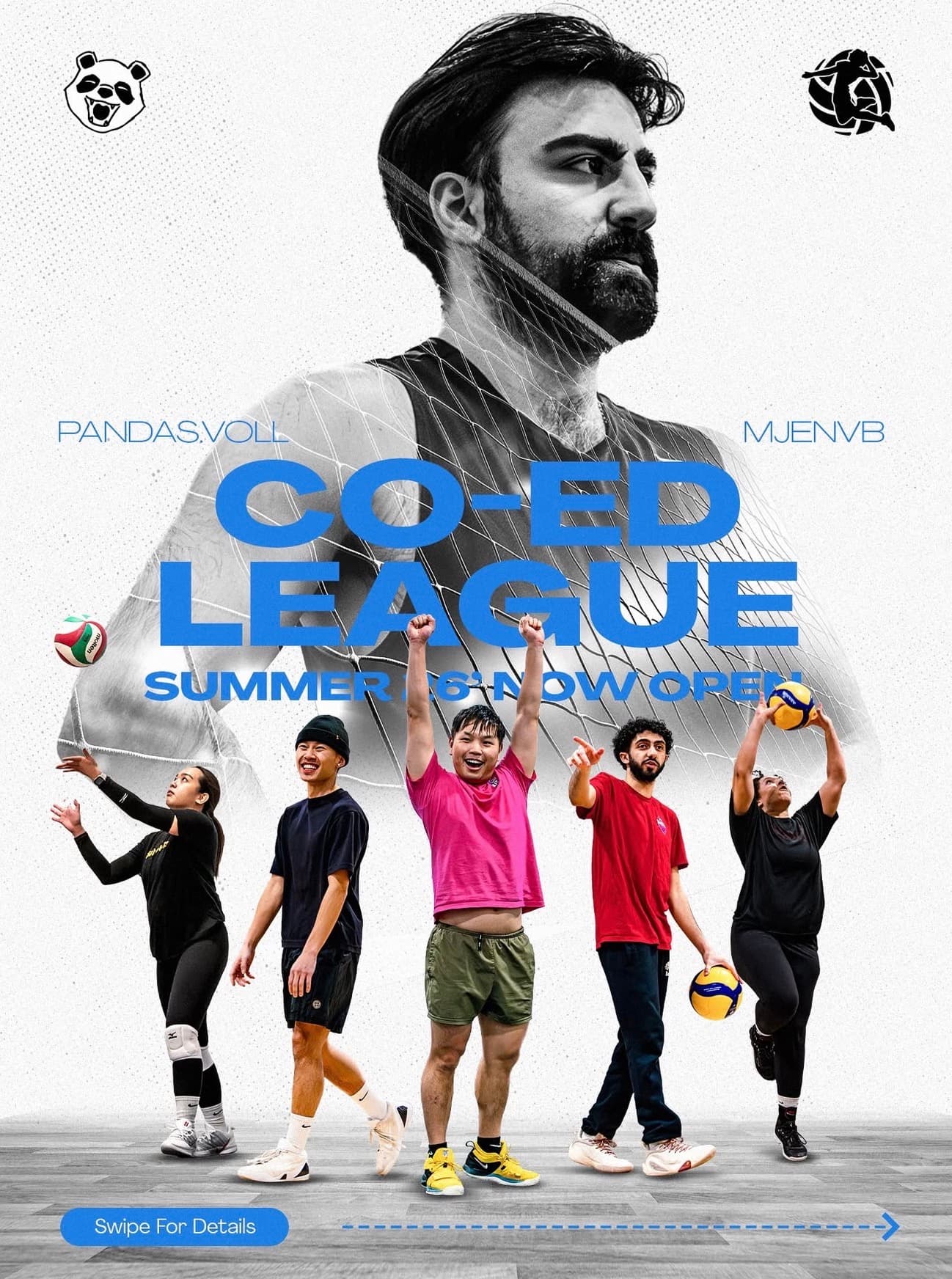 Co-Ed Summer 6s Volleyball League flyer