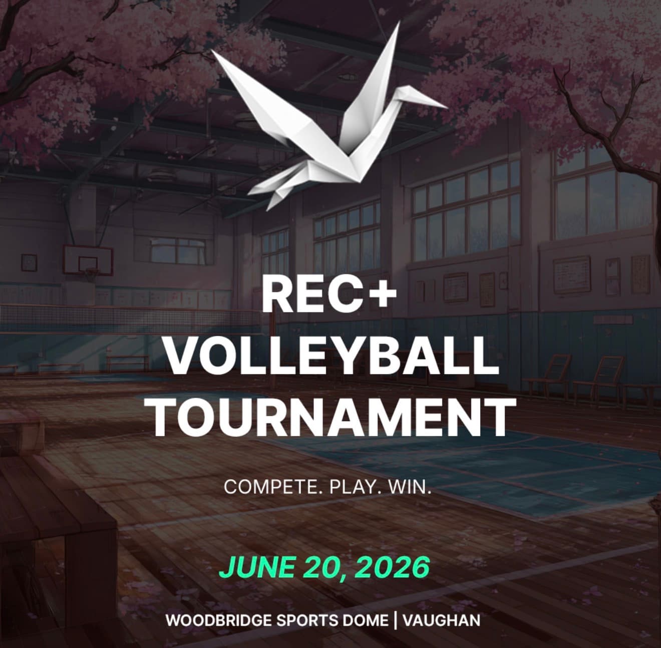 REC+ Coed Volleyball Tournament (High Rec) flyer
