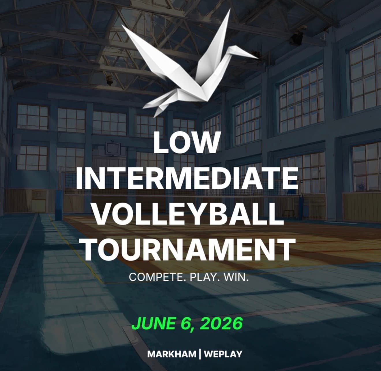 Low Intermediate Coed Volleyball Tournament flyer
