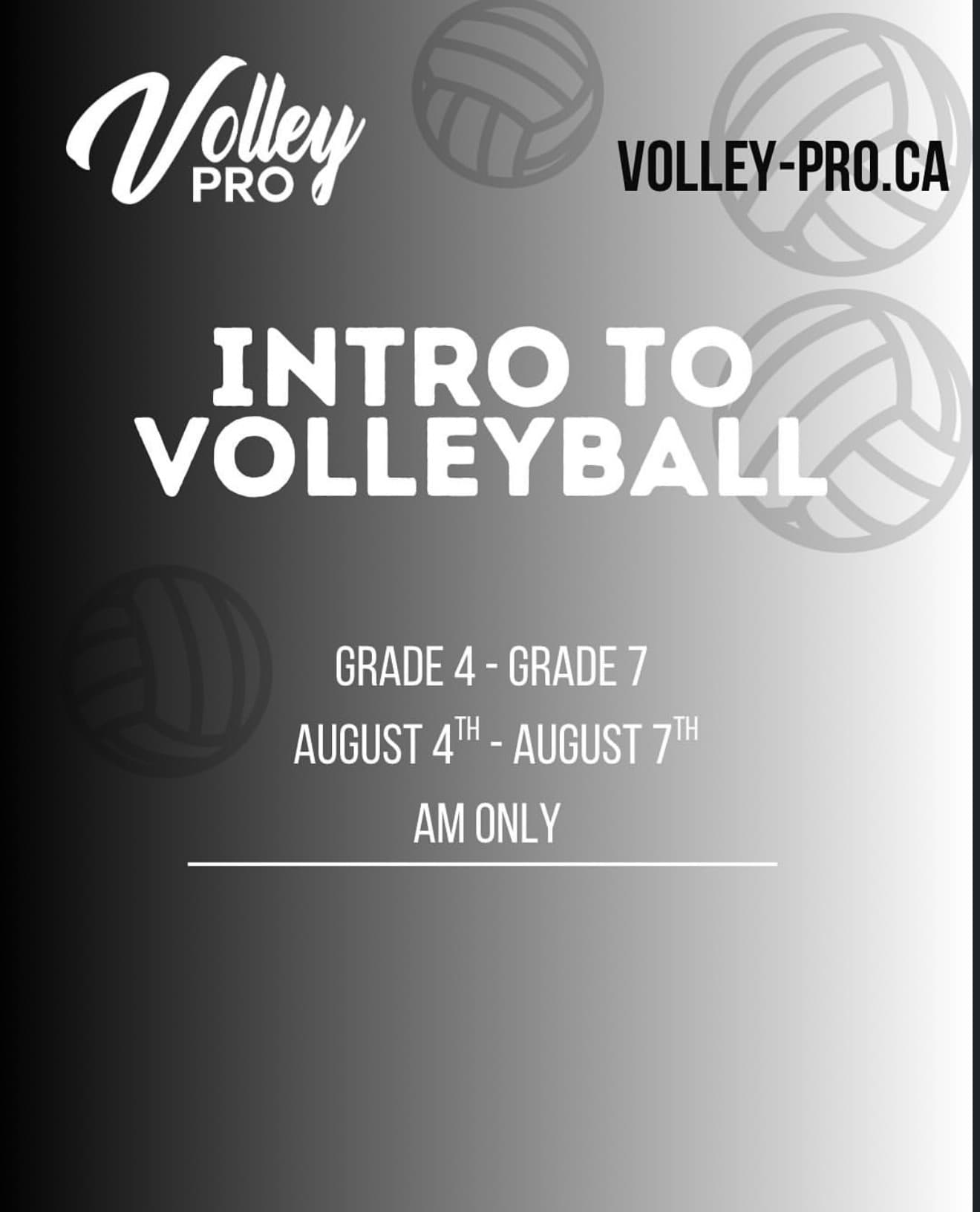 Intro to Volleyball (Grades 4-7) flyer