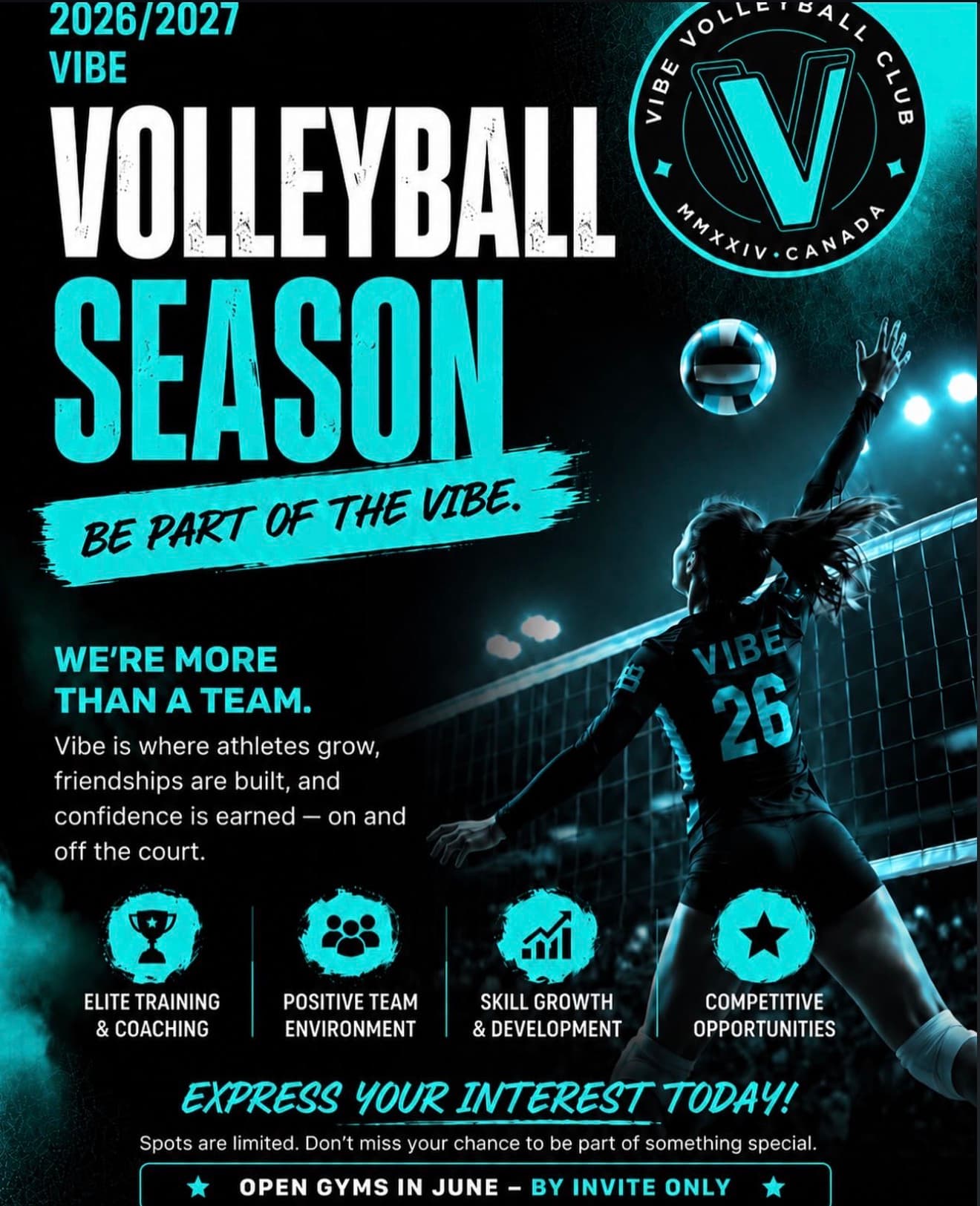 VIBE Volleyball 2026/2027 Season - Expression of Interest flyer