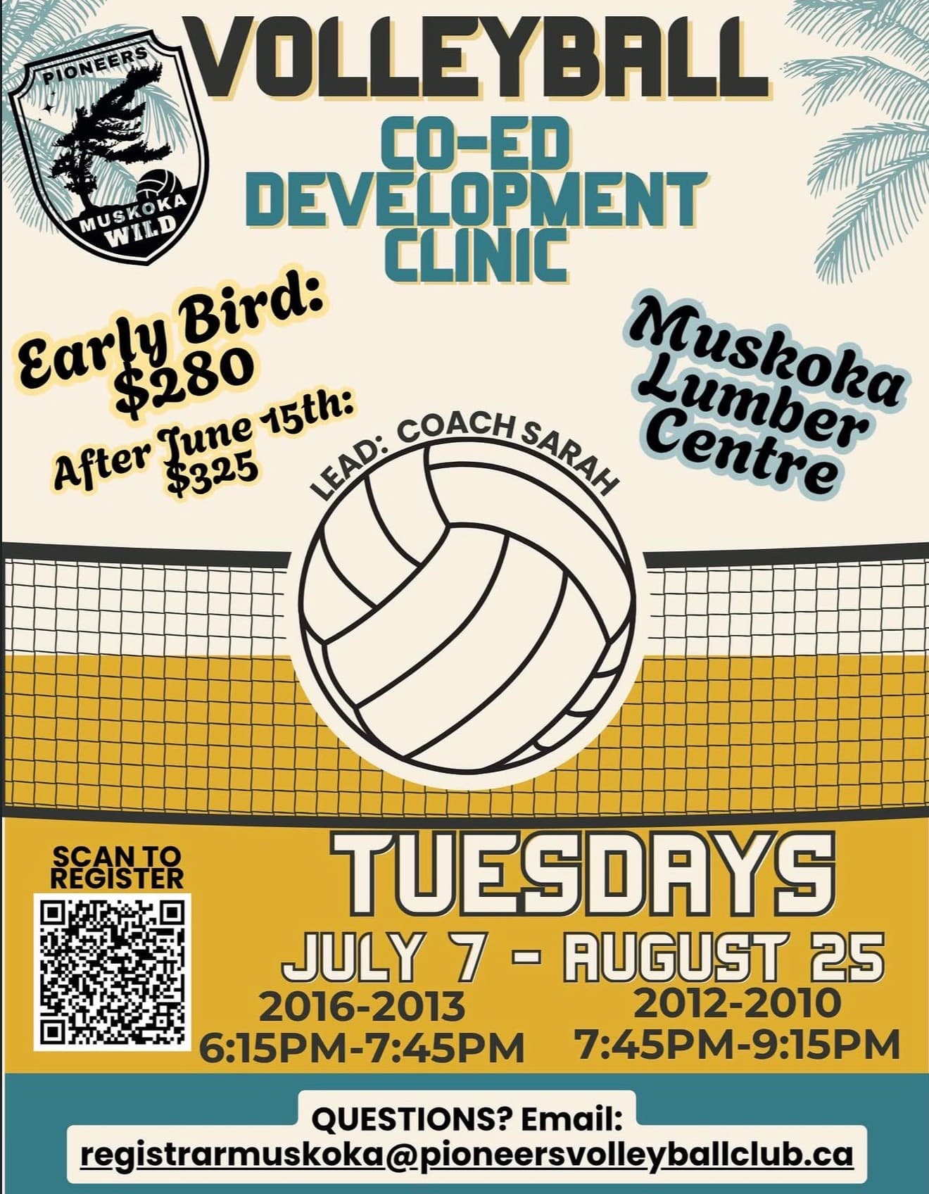 Muskoka Co-ed Volleyball Development Clinic - Tuesdays (Born 2016-2013) flyer