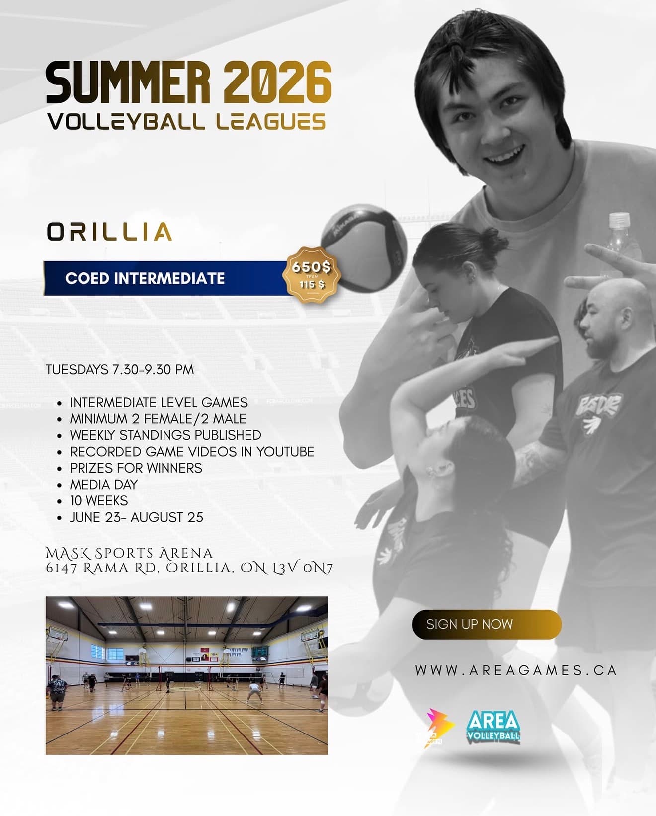 Adult Coed League flyer