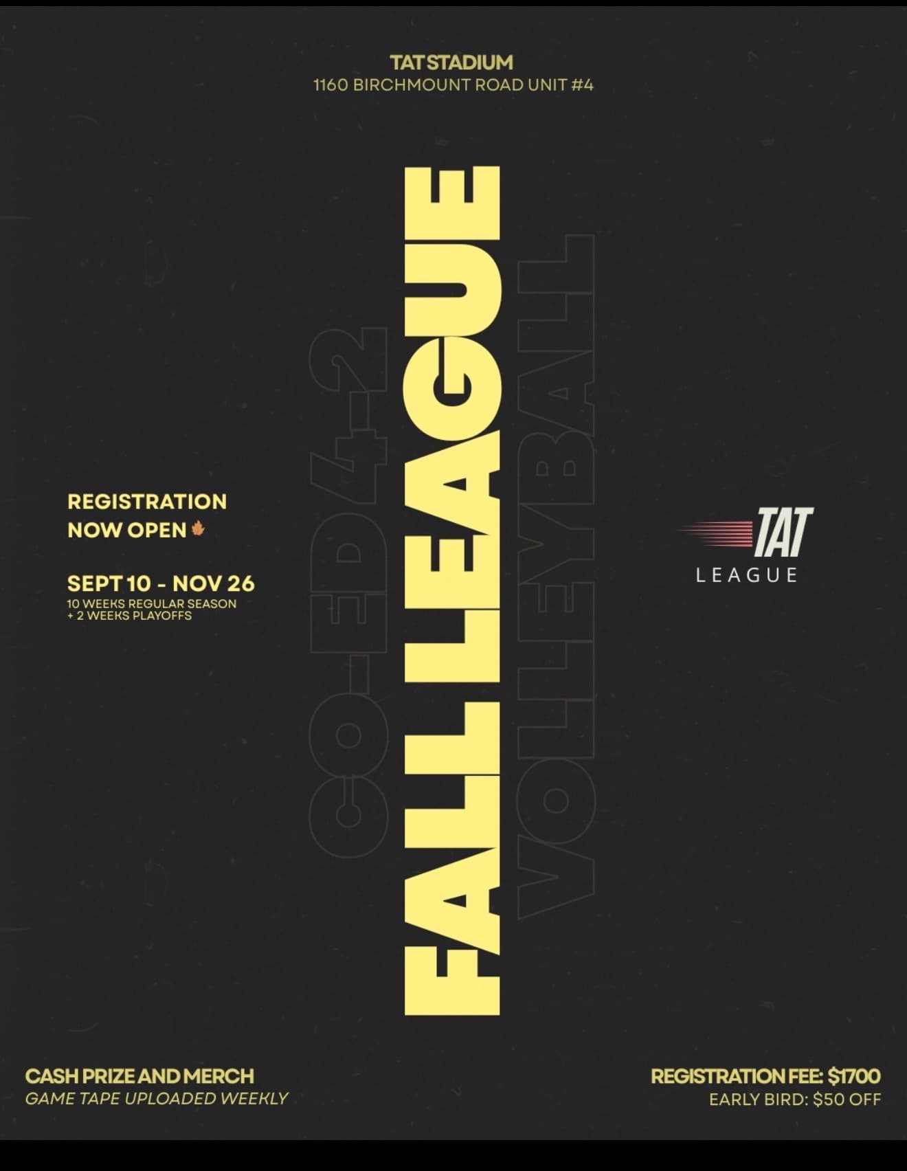 Adult Coed League flyer