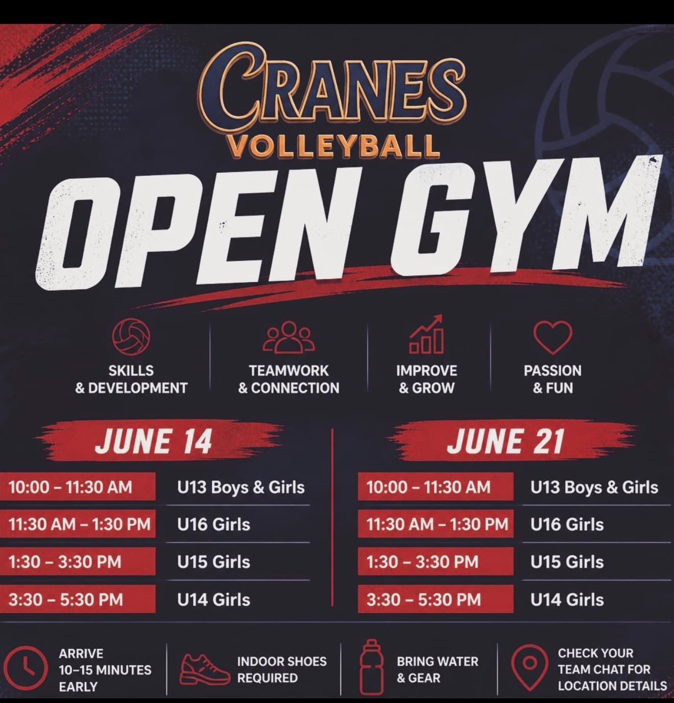 Cranes Volleyball Open Gym (Multi-Age) flyer